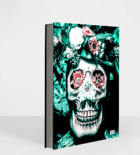PRE-ORDER: Signed Book in Painted Plexiglass Box with Large Print Image 2